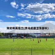 突尼斯英格兰(罗马尼亚卫生部长)