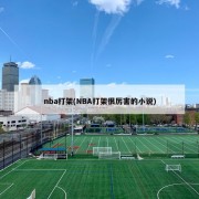 nba打架(NBA打架很厉害的小说)