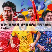 世界杯百大进球(世界杯百大进球天下足球57分钟)
