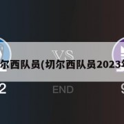 切尔西队员(切尔西队员2023年)