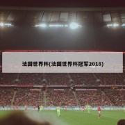 法国世界杯(法国世界杯冠军2018)