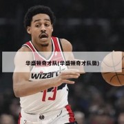 华盛顿奇才队(华盛顿奇才队徽)