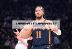 欧洲杯直播在哪能看(欧洲杯直播哪里能看到)