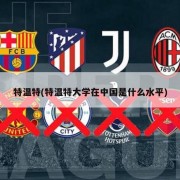 特温特(特温特大学在中国是什么水平)
