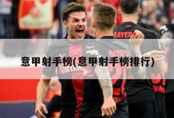 意甲射手榜(意甲射手榜排行)
