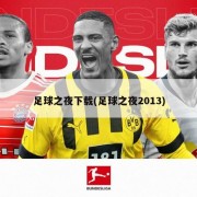 足球之夜下载(足球之夜2013)