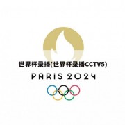 世界杯录播(世界杯录播CCTV5)