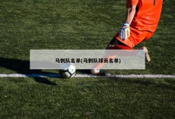 马刺队名单(马刺队球员名单)