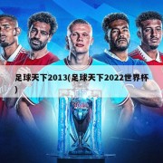 足球天下2013(足球天下2022世界杯)