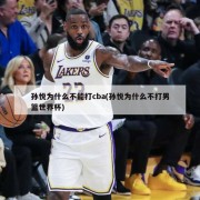 孙悦为什么不能打cba(孙悦为什么不打男篮世界杯)