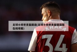足球小将世青篇国语(足球小将世青篇国语版在线观看)