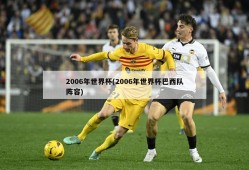 2006年世界杯(2006年世界杯巴西队阵容)