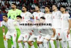 94年世界杯(94年世界杯决赛)